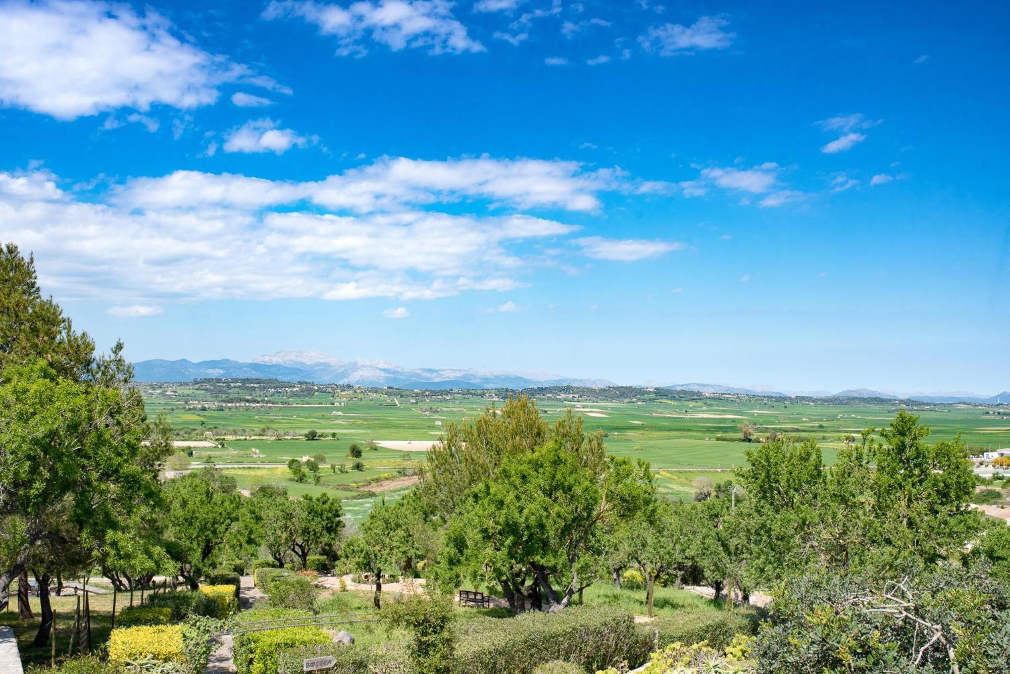 ホテル Casa Font I Roig María de la Salud エクステリア 写真