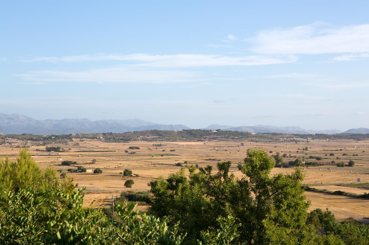 ホテル Casa Font I Roig María de la Salud エクステリア 写真